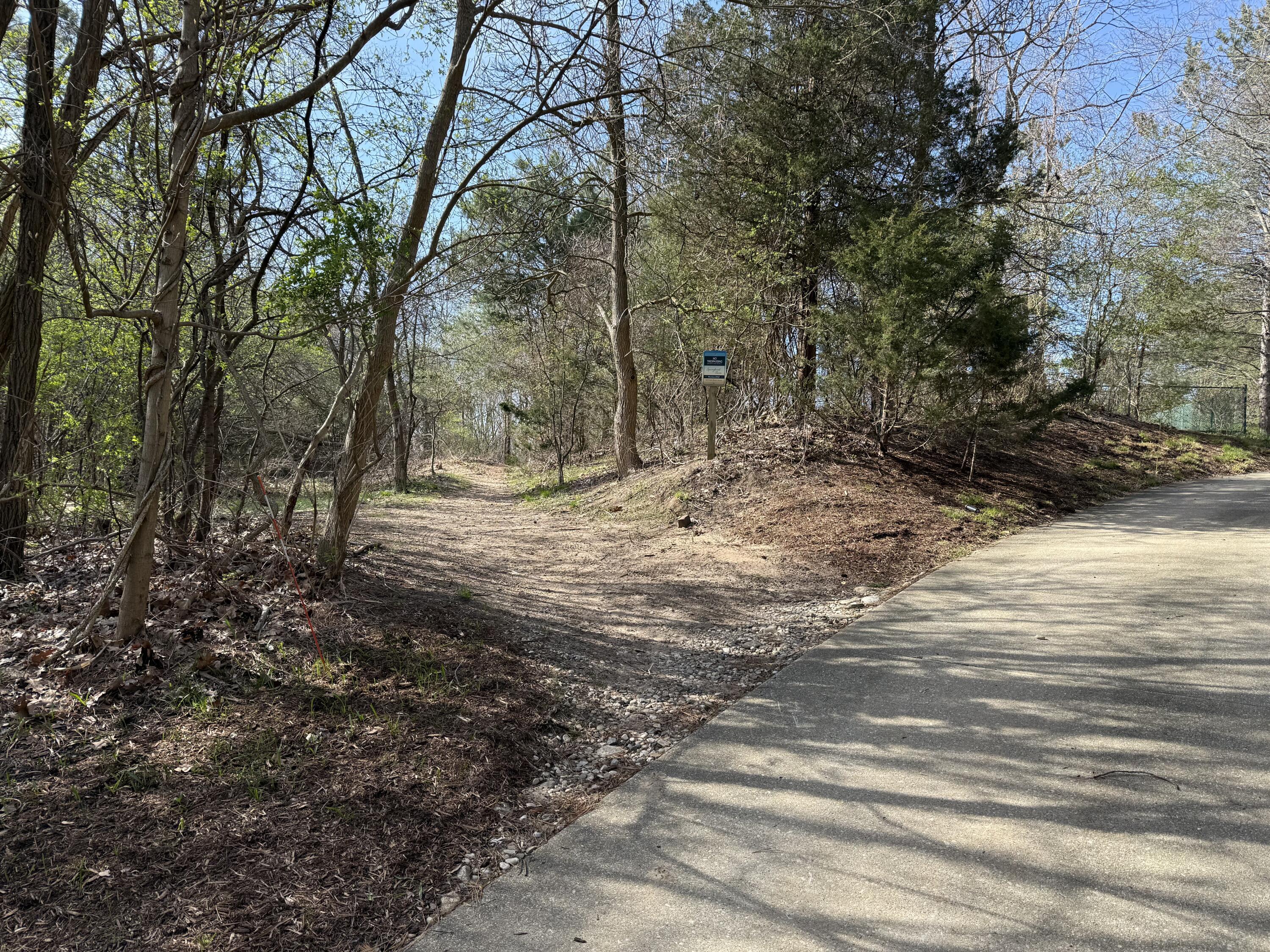 Image 4: IMG_0069