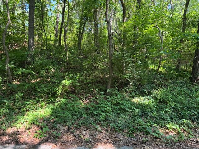 Image 1: 4 Lilac Lane