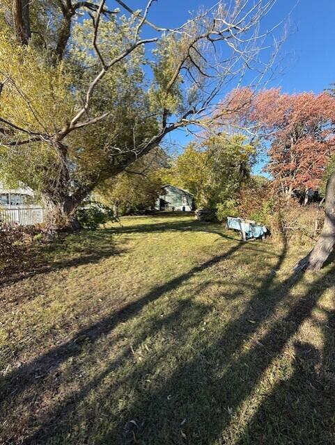 Image 4: thumbnail_IMG_2009