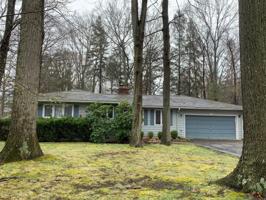 6699 Pine Lane