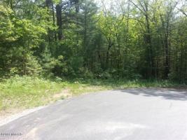 Wildwood Drive