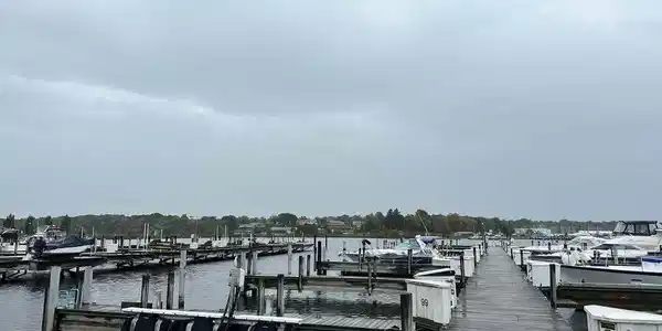 Image 2: Ellenwood Dock 2