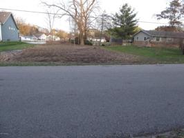 Tulip Tree Lane