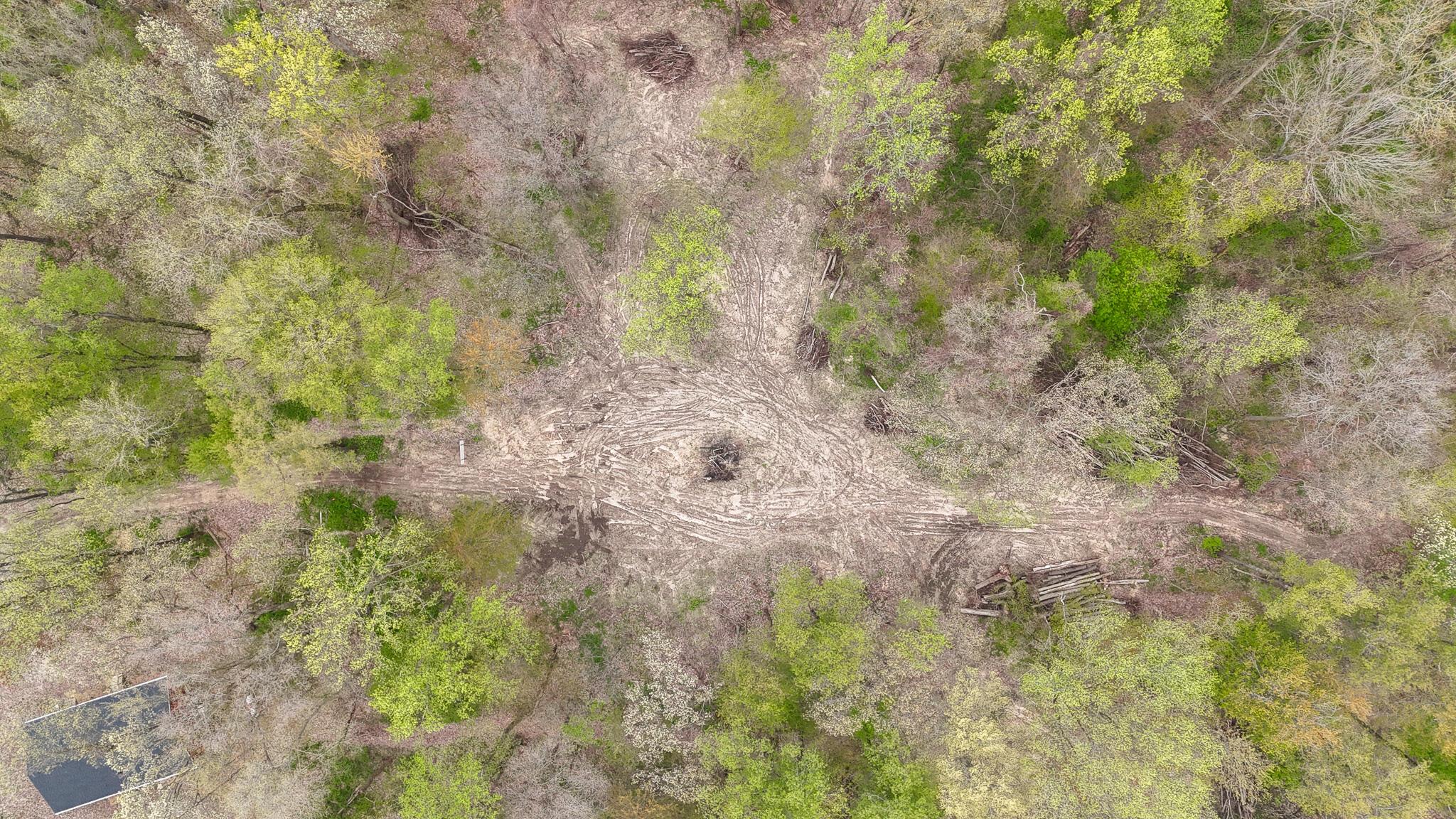 Image 2: VL FOREST RD