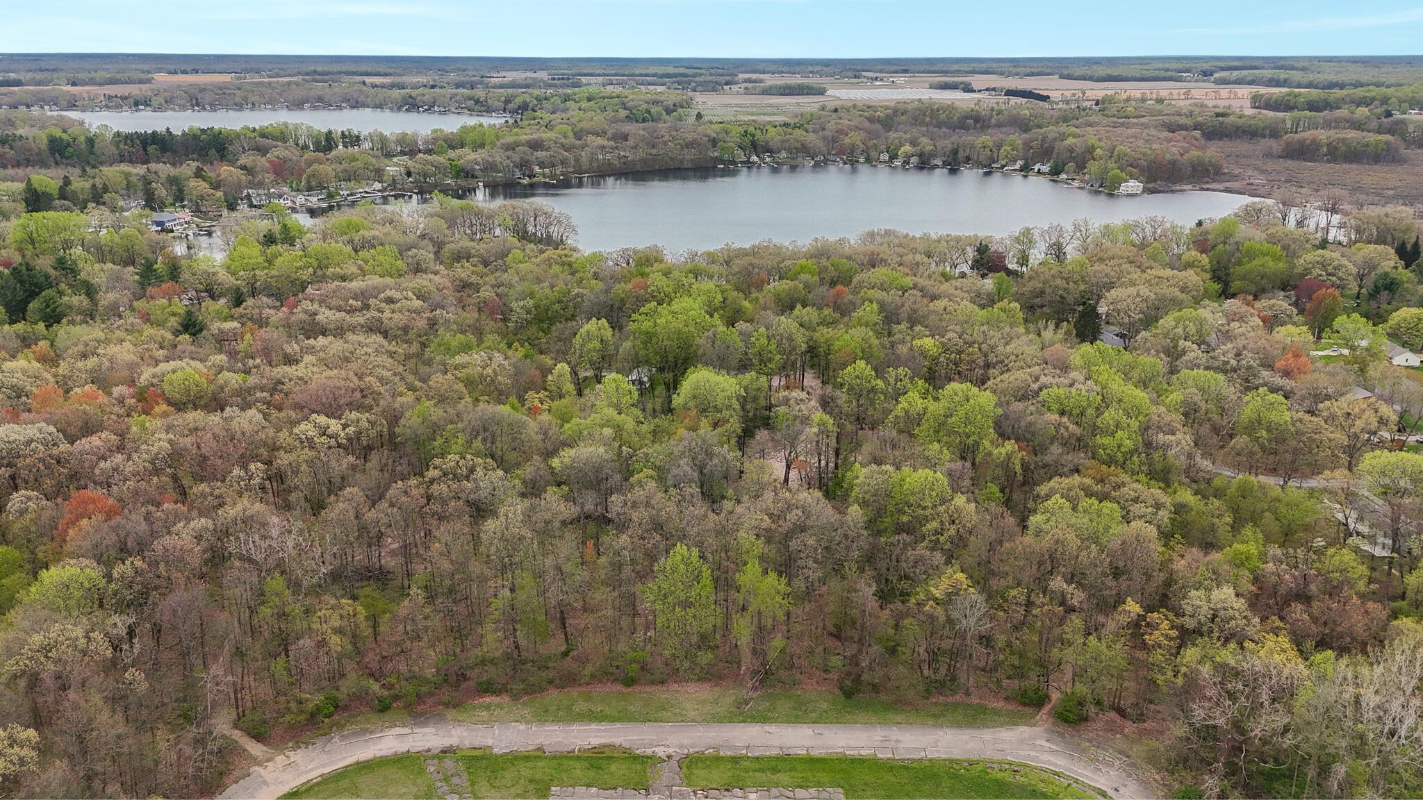 Image 2: VL FOREST RD