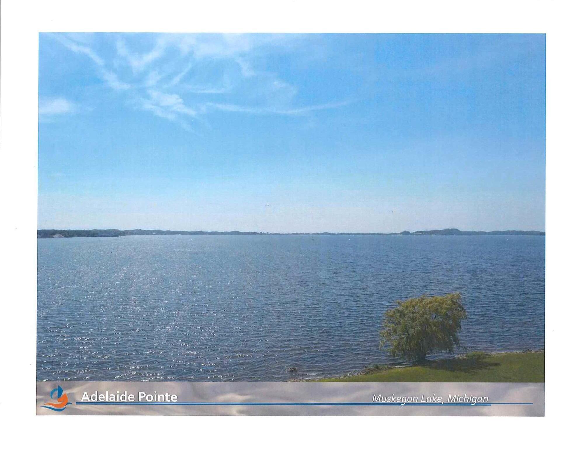 Image 3: View of the Lake