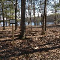 Lot 7 42nd Street