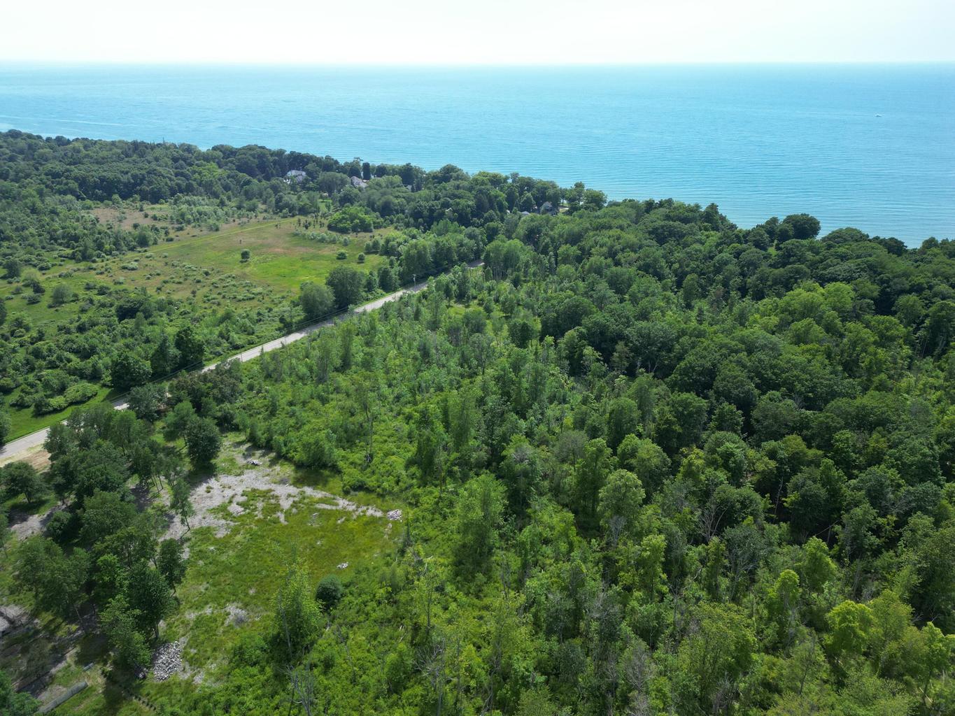 Image 4: wiley 2
