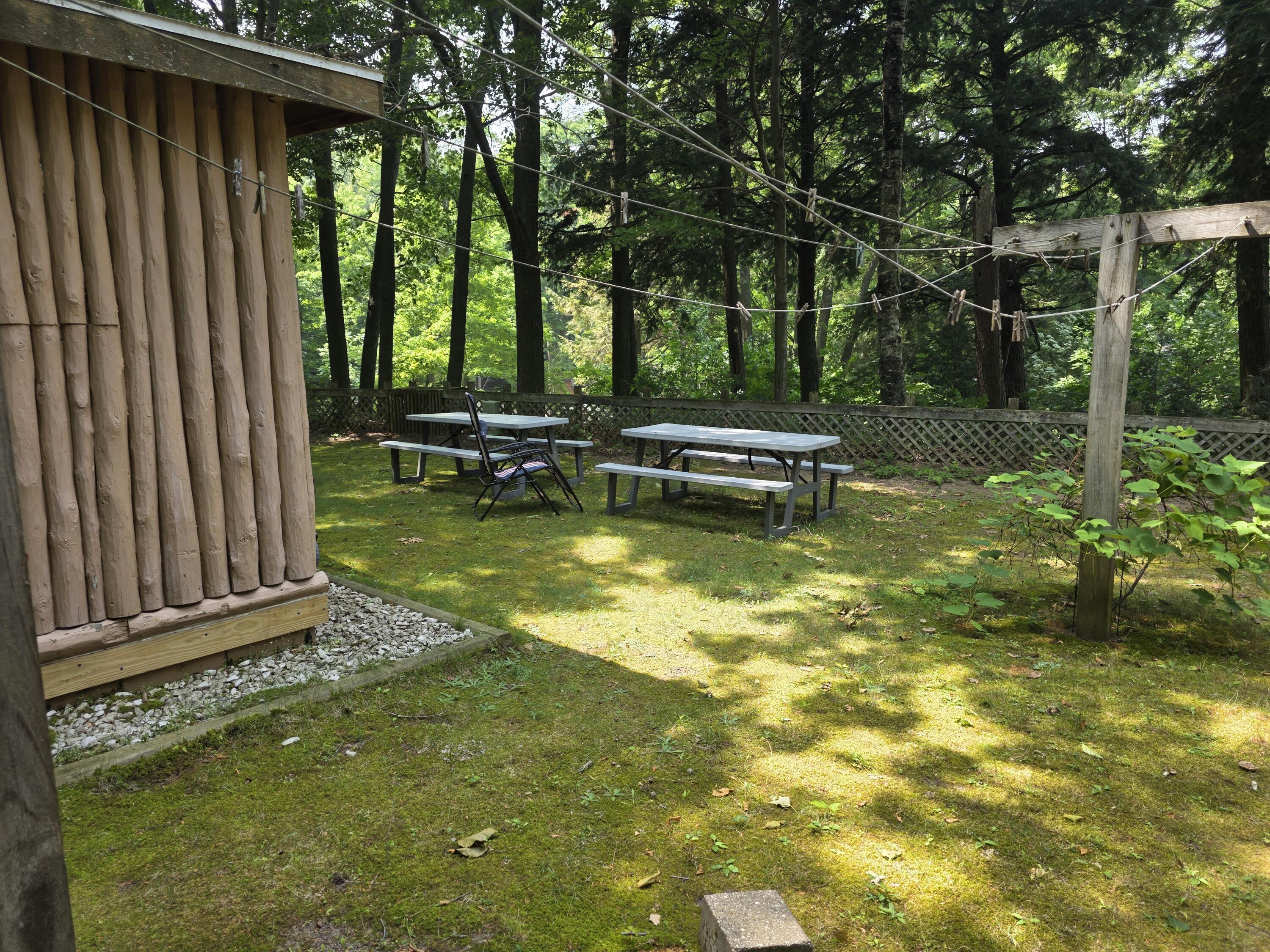 Image 4: 20250725_151133