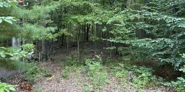 Lot 62, 14th Avenue