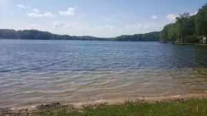Coon Hollow Road