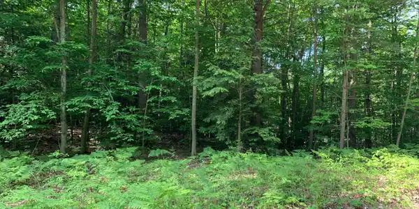 8550 Awayin Drive