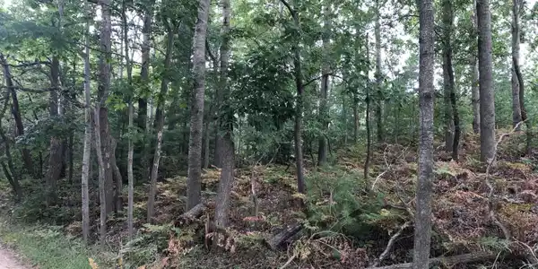 Lot 2 Harrison Road