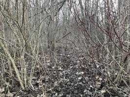 3A Baseline Road