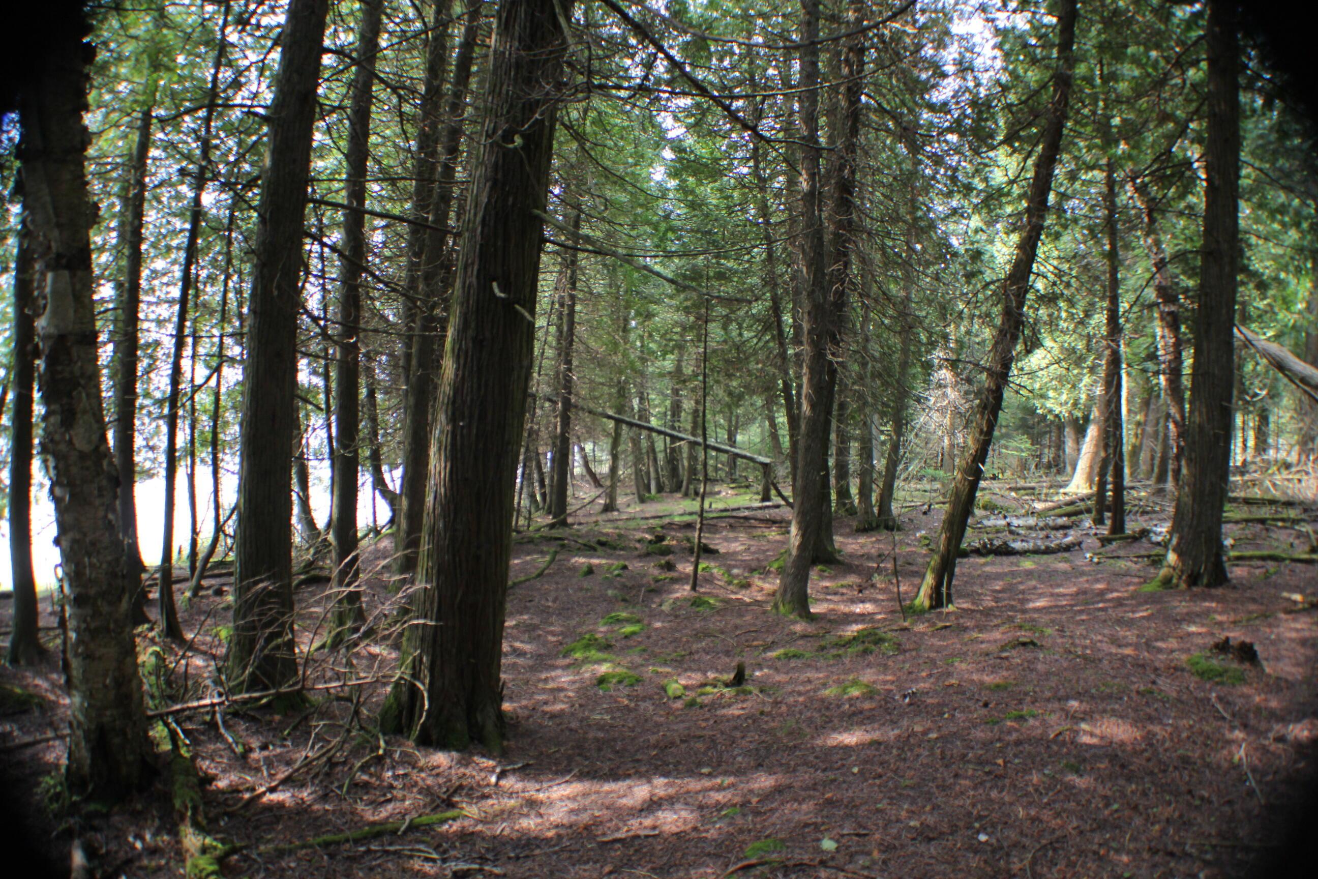 Image 4: High Ground