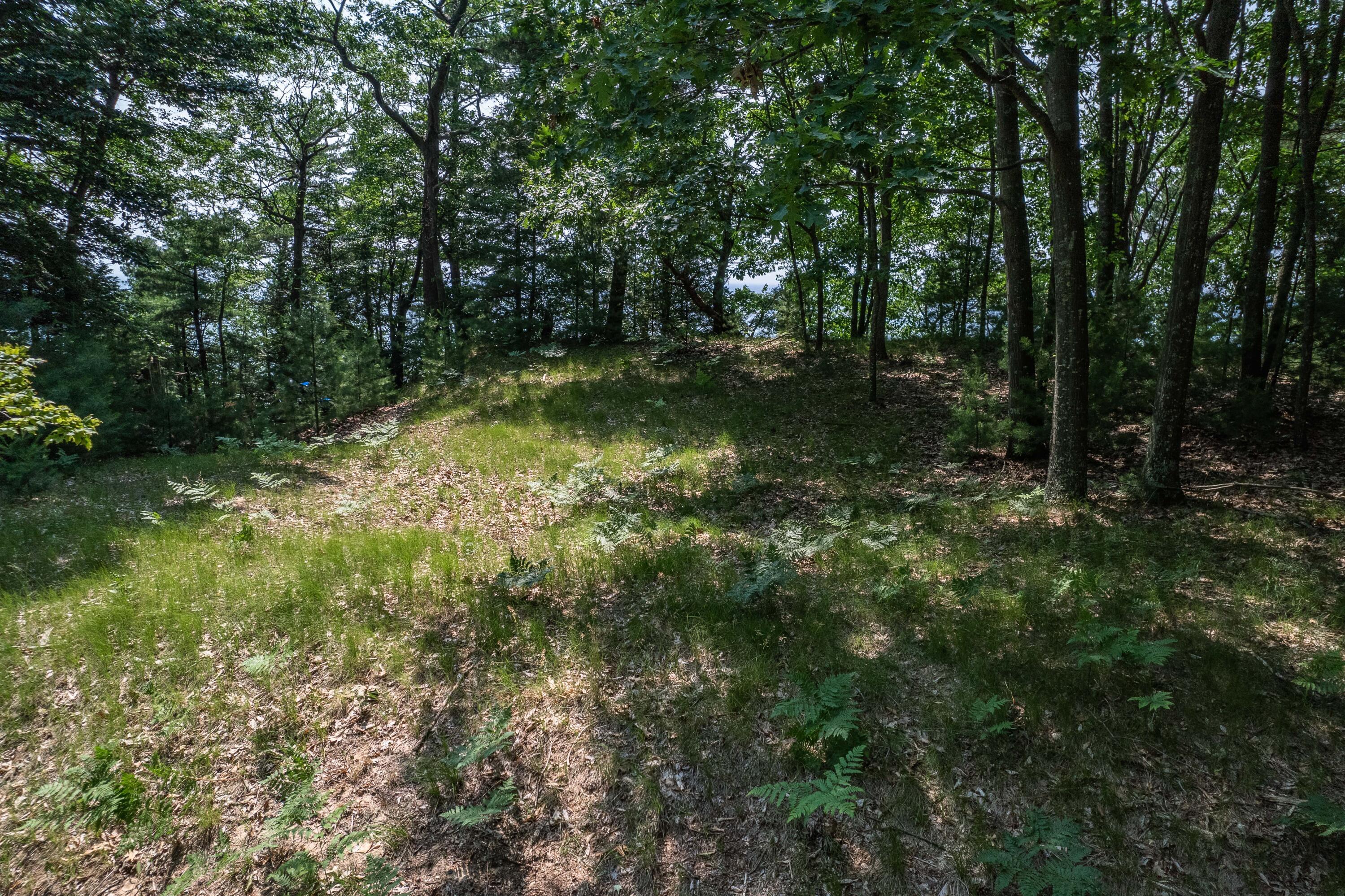 Image 2: DJI_0150-HDR