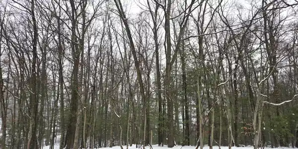 VL Trail of the Lakes