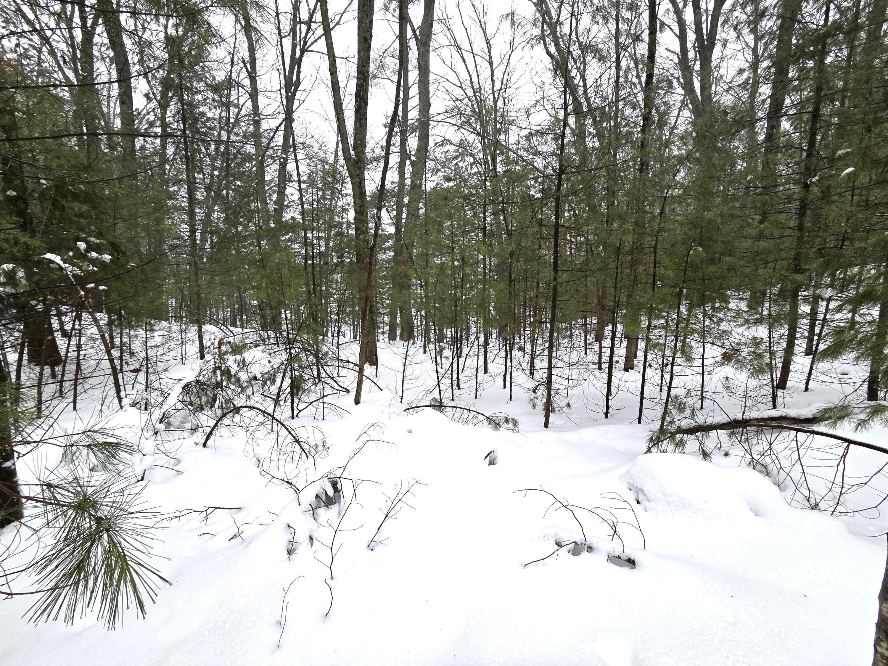 Image 4: 20260106_103654