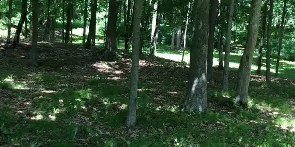 #2 VanHorn Court