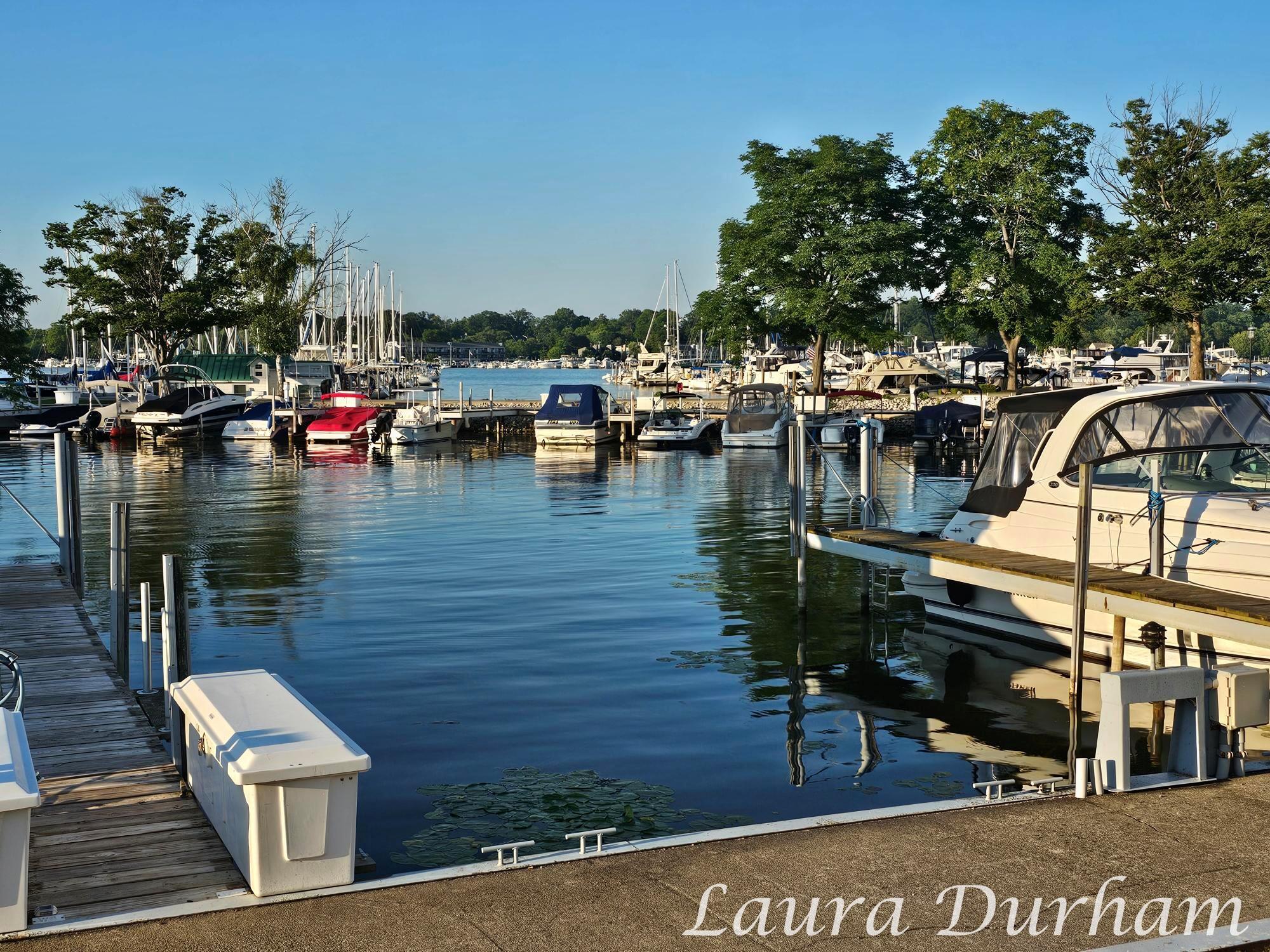 Image 3: LJD20250727_200017