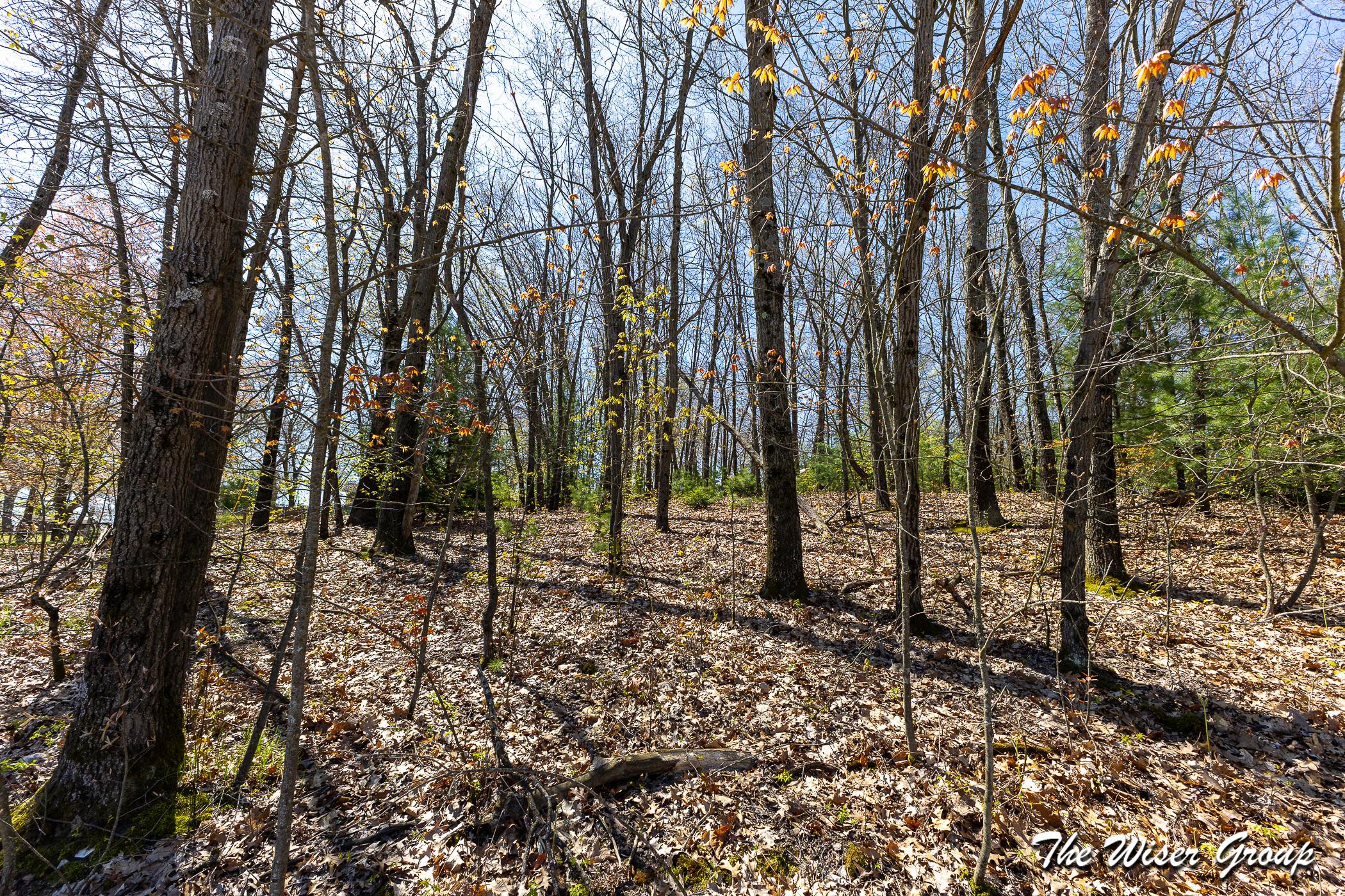 Image 3: Perch Lake