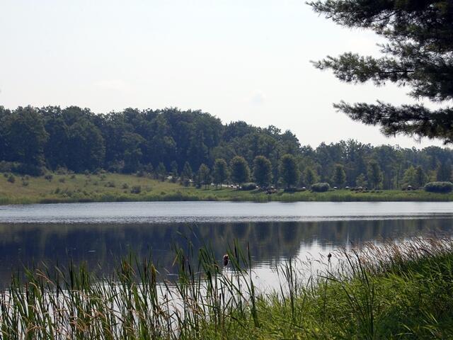 Image 4: 4 view