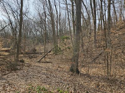 Dunewood Drive