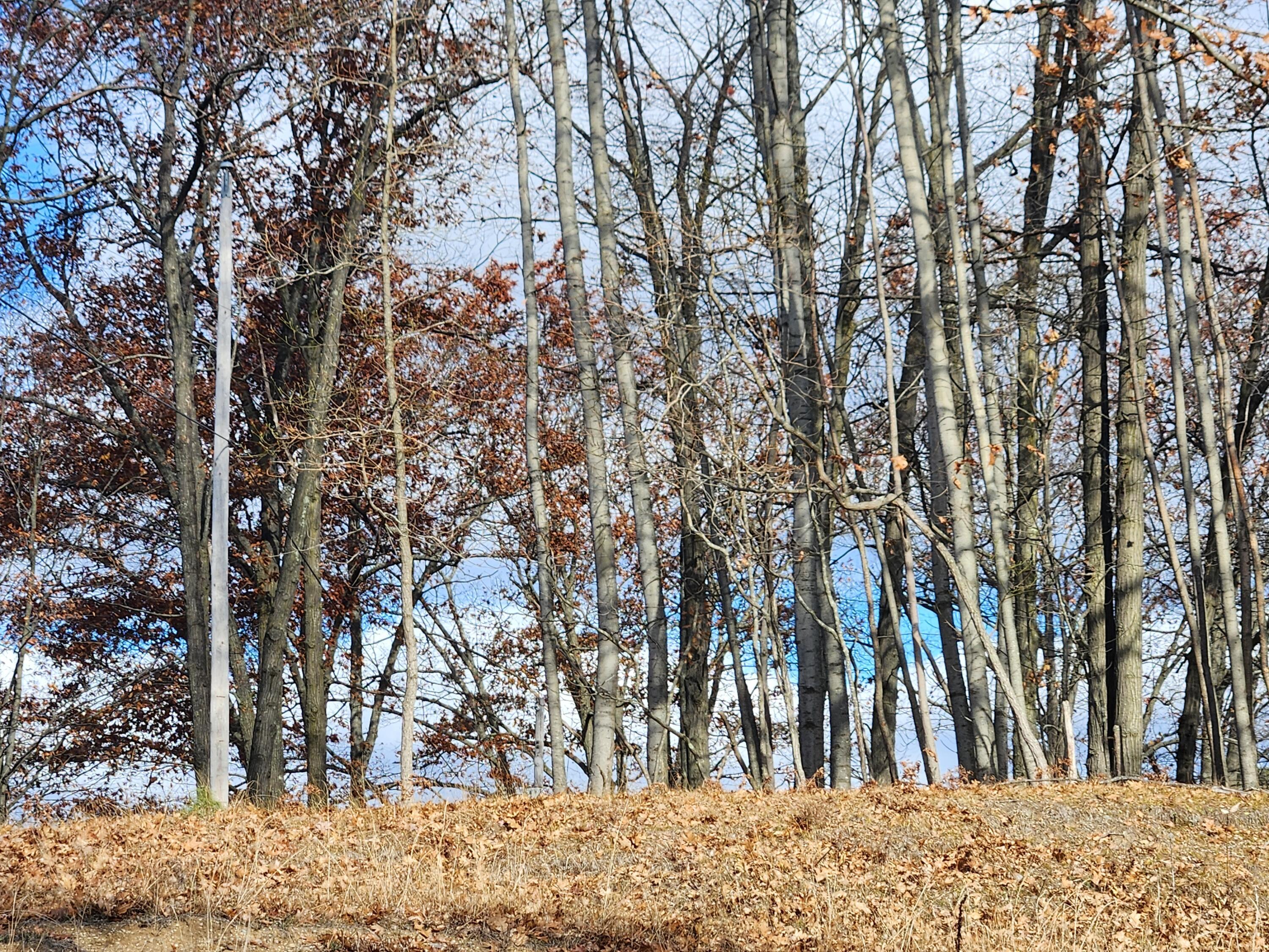 Image 3: 20251117_121101