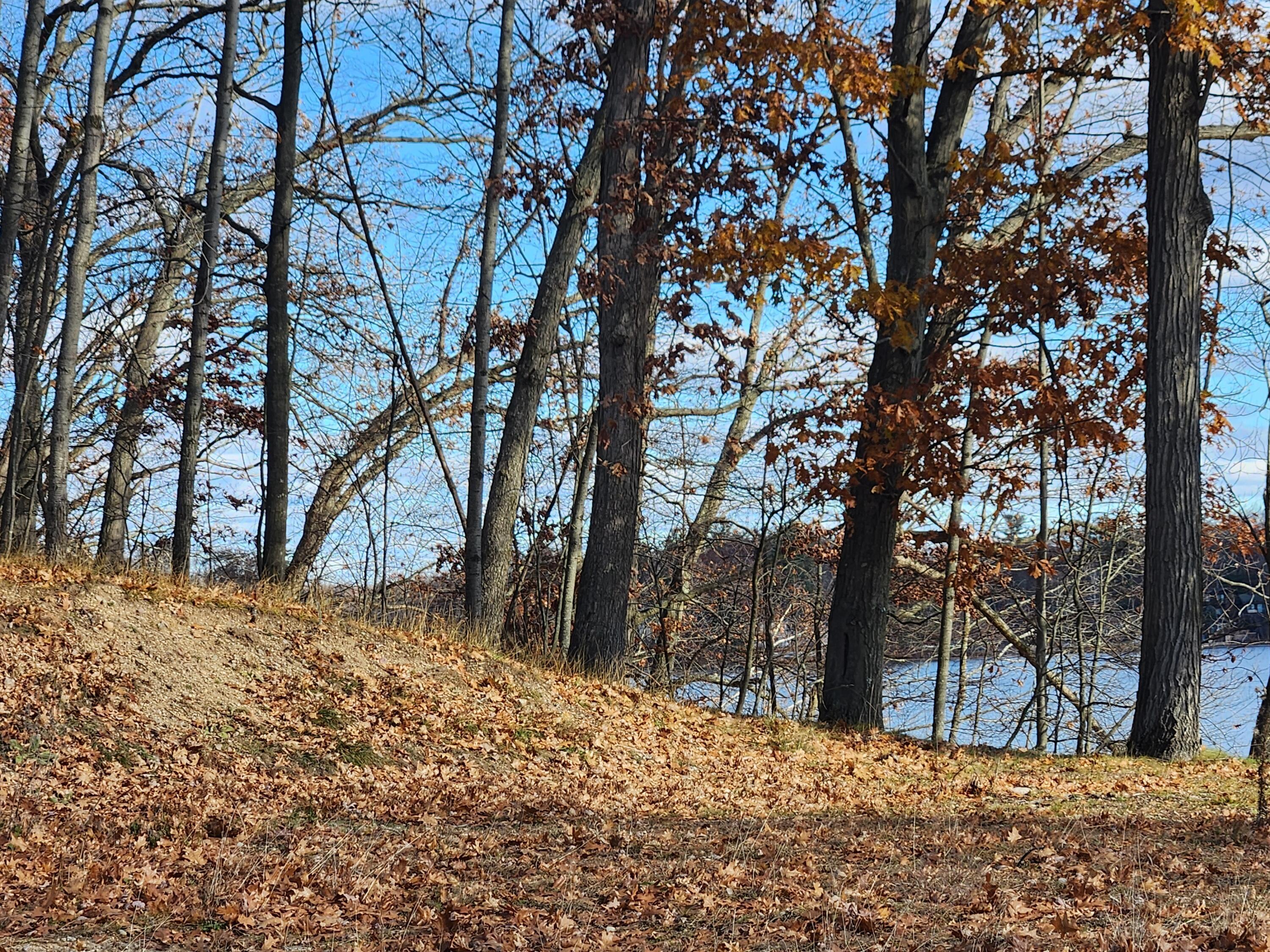 Image 4: 20251117_121107