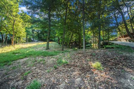 345 Dunegrass Ridge Drive