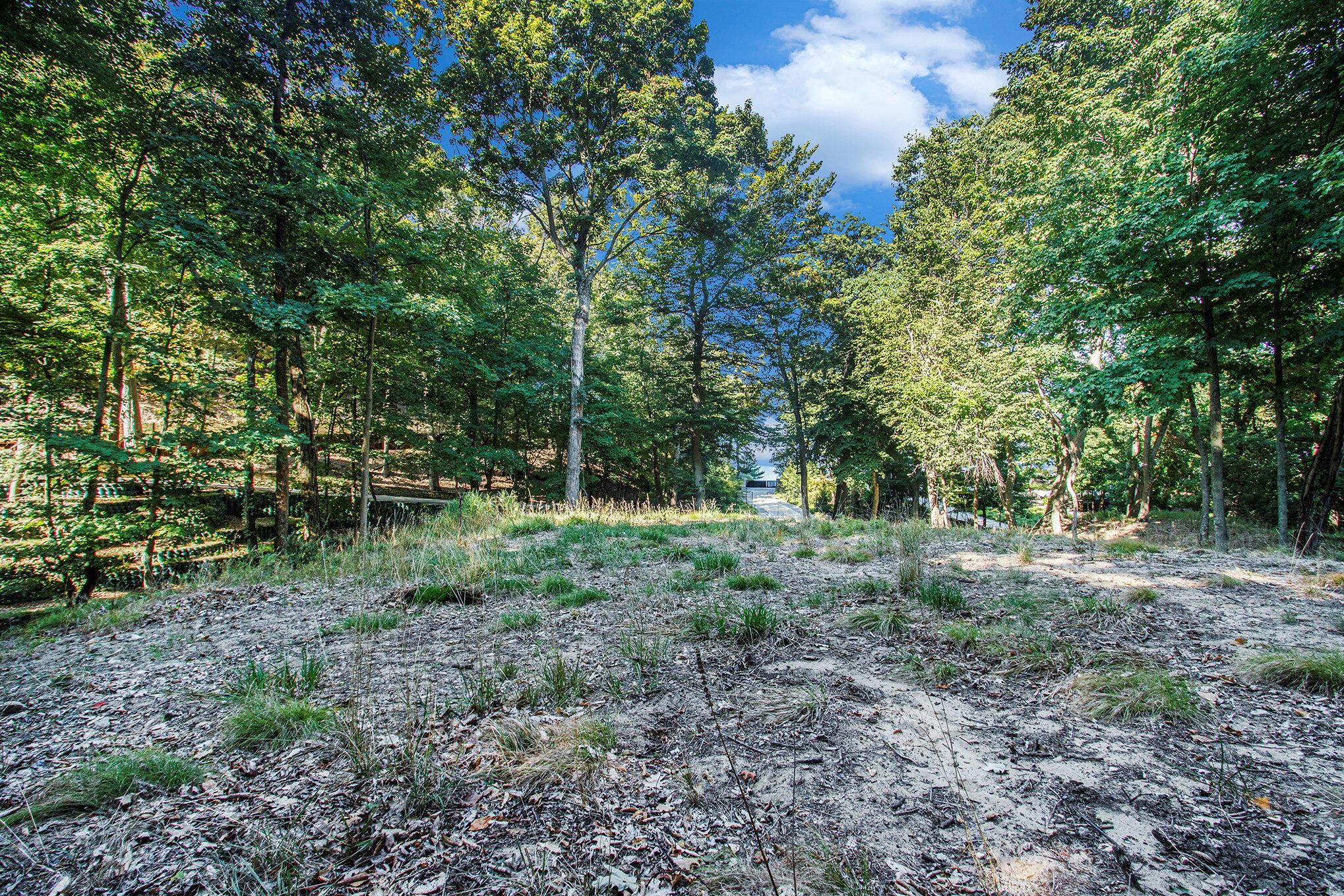 Image 2: 009_fm_ndp_111_651