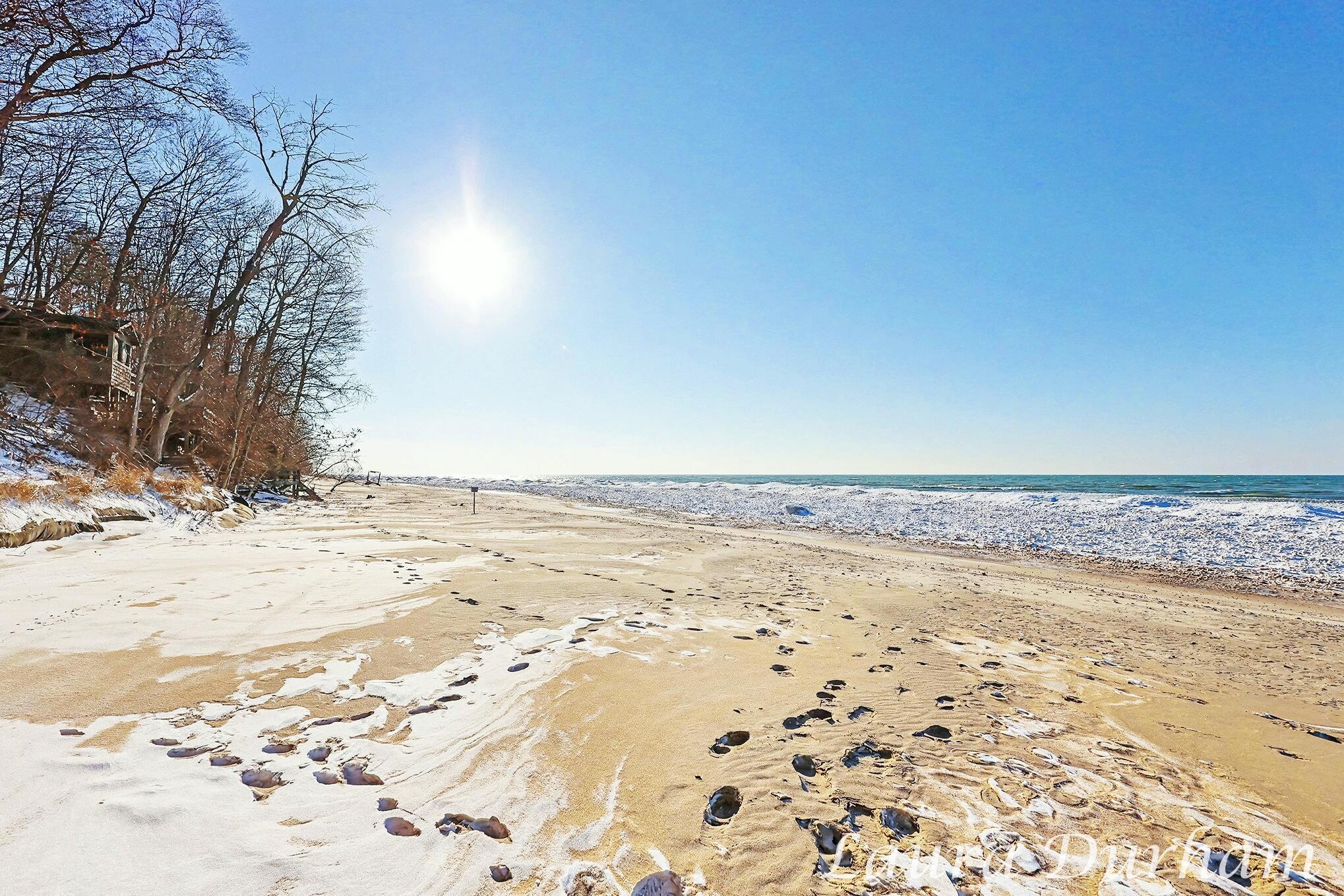 Image 2: LJD029_qj1a0022_166