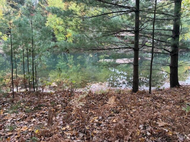 Image 1: IMG_0685