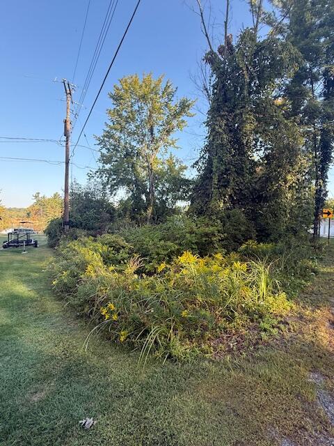 Image 2: Morgan Mills 1