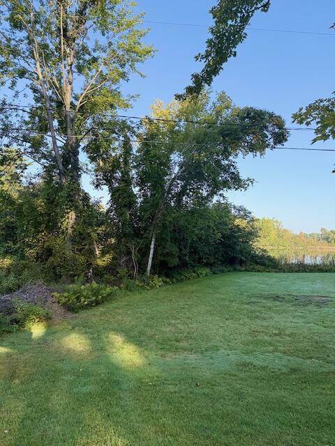 Image 3: Morgan Mills 2