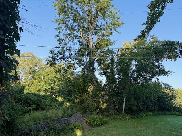 Image 4: Morgan Mills 3