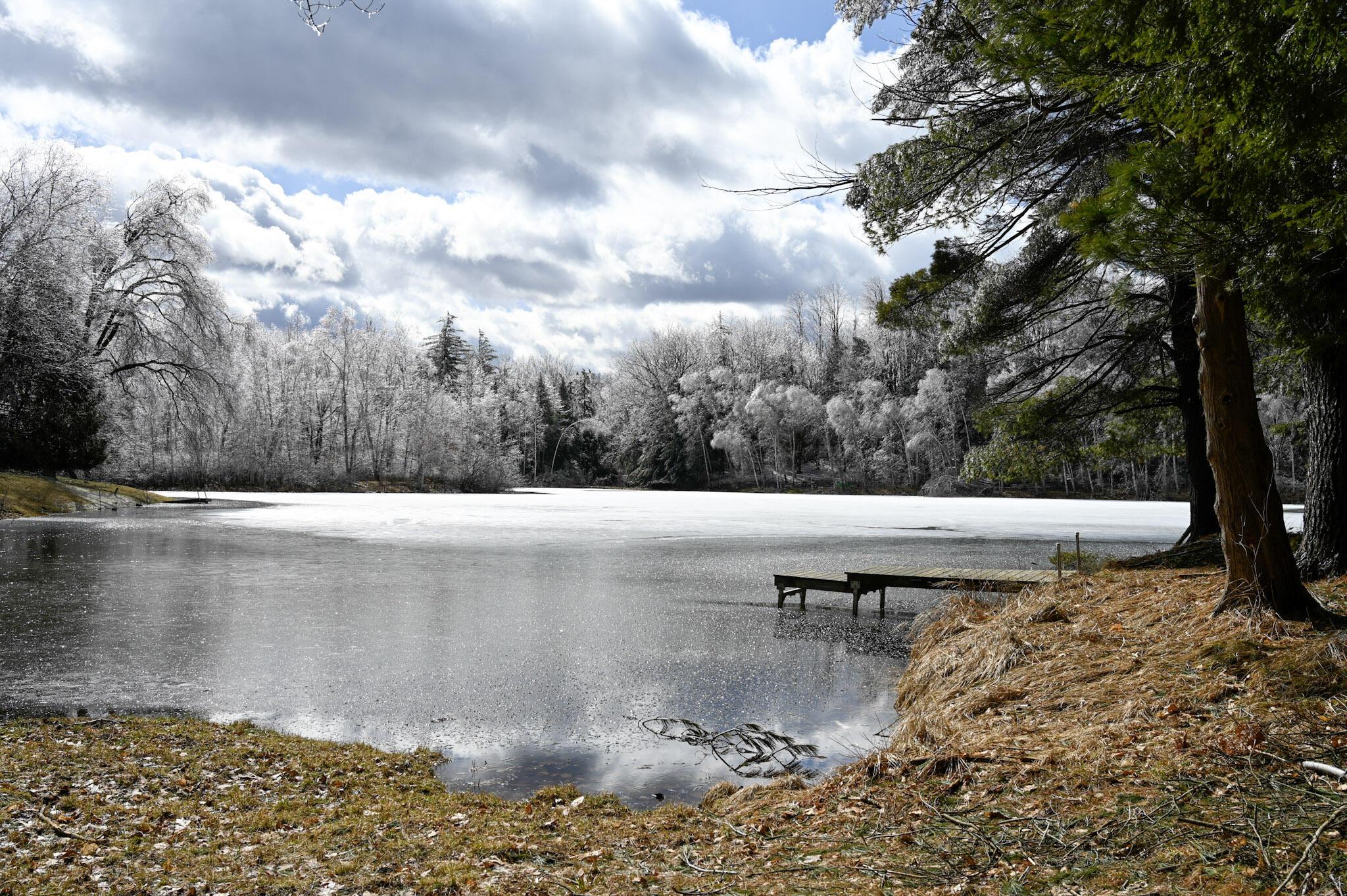 Image 2: Land