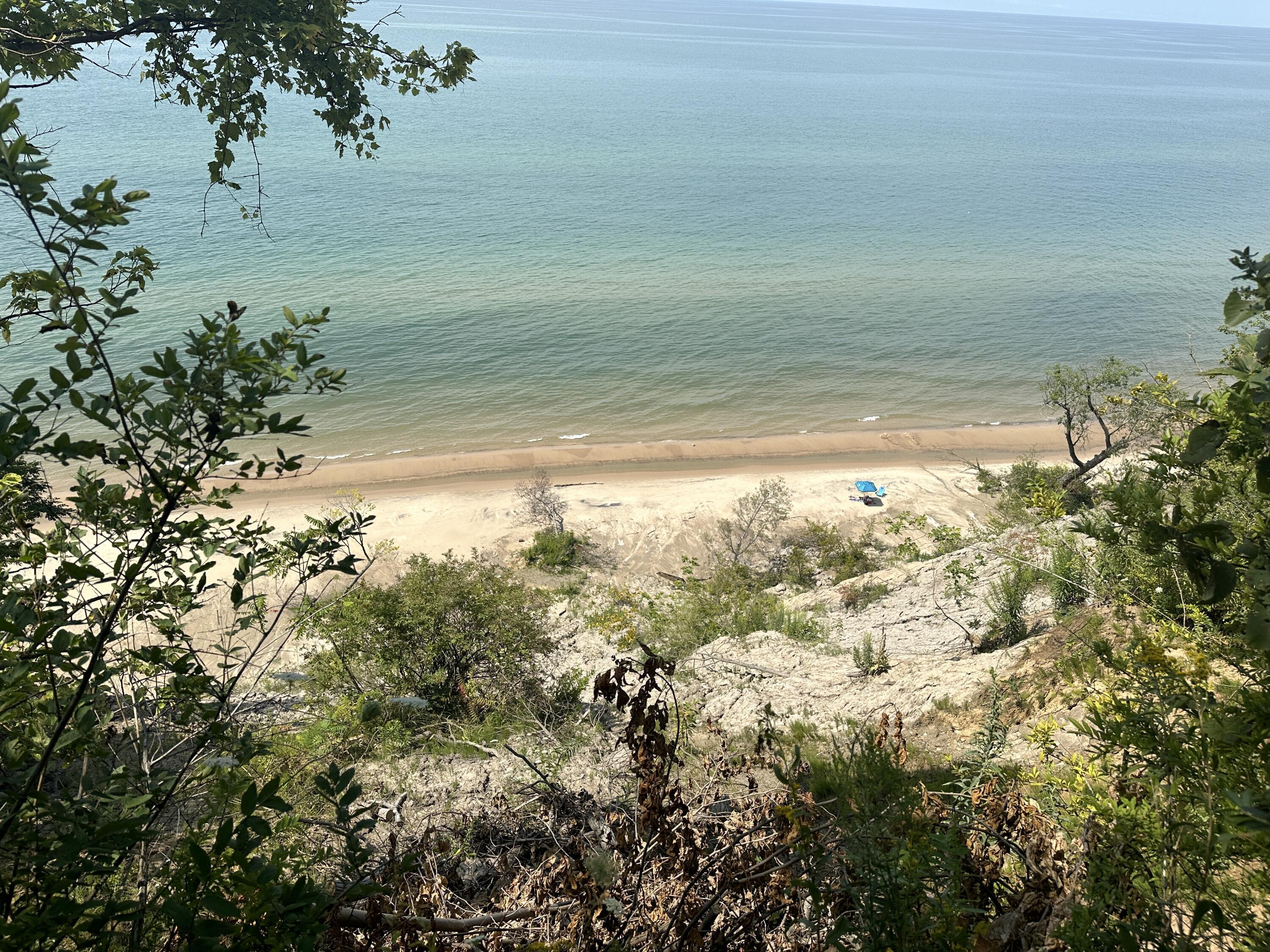 Image 3: IMG_2606