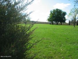14509 Kildare Lane