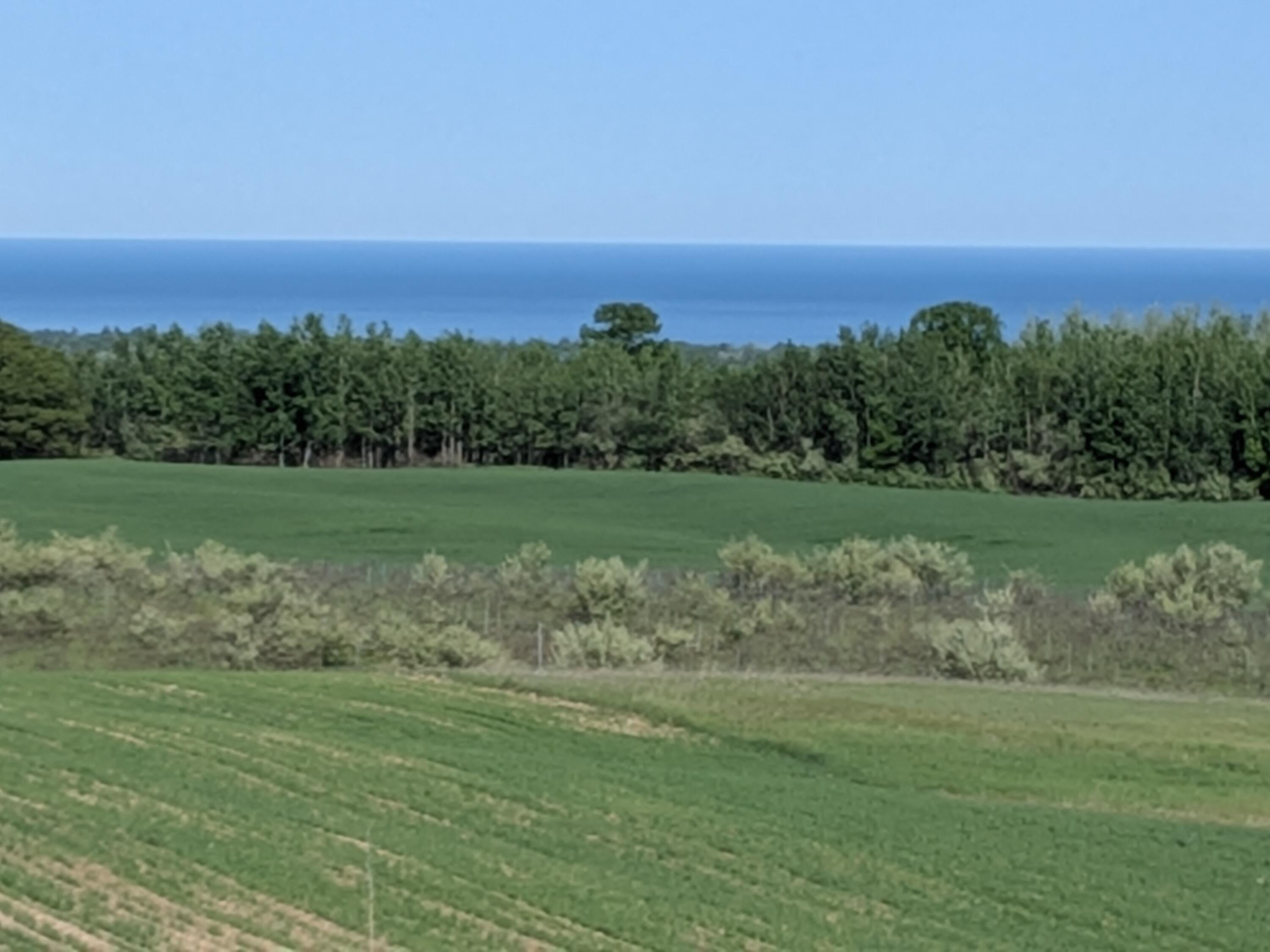 Image 3: View of Lake Michigan
