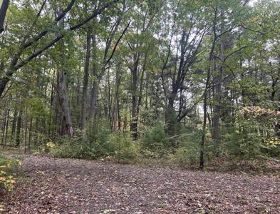 4051 Highview Path