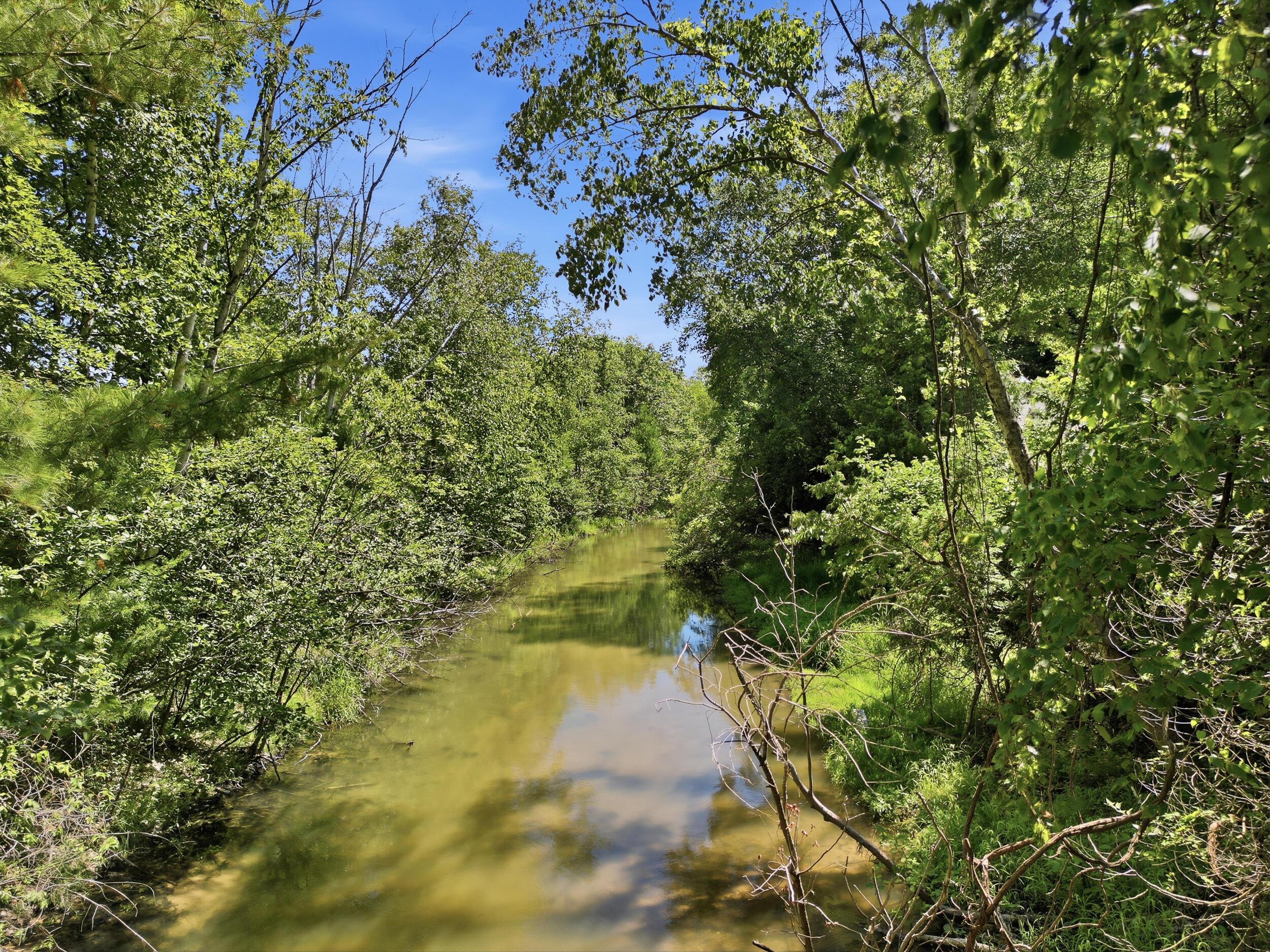Image 3: 300 Feet of Silver Creek