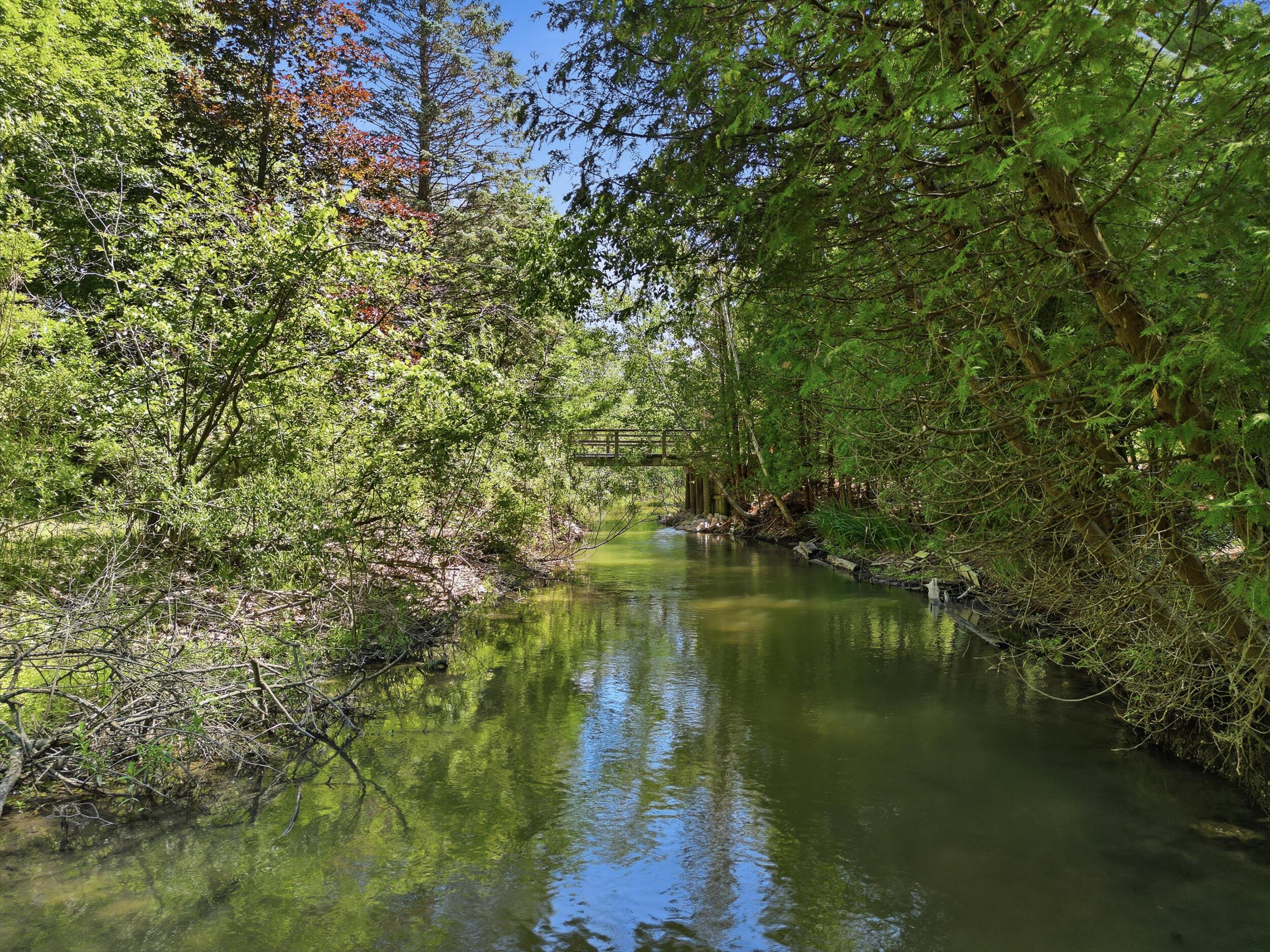 Image 4: Silver Creek