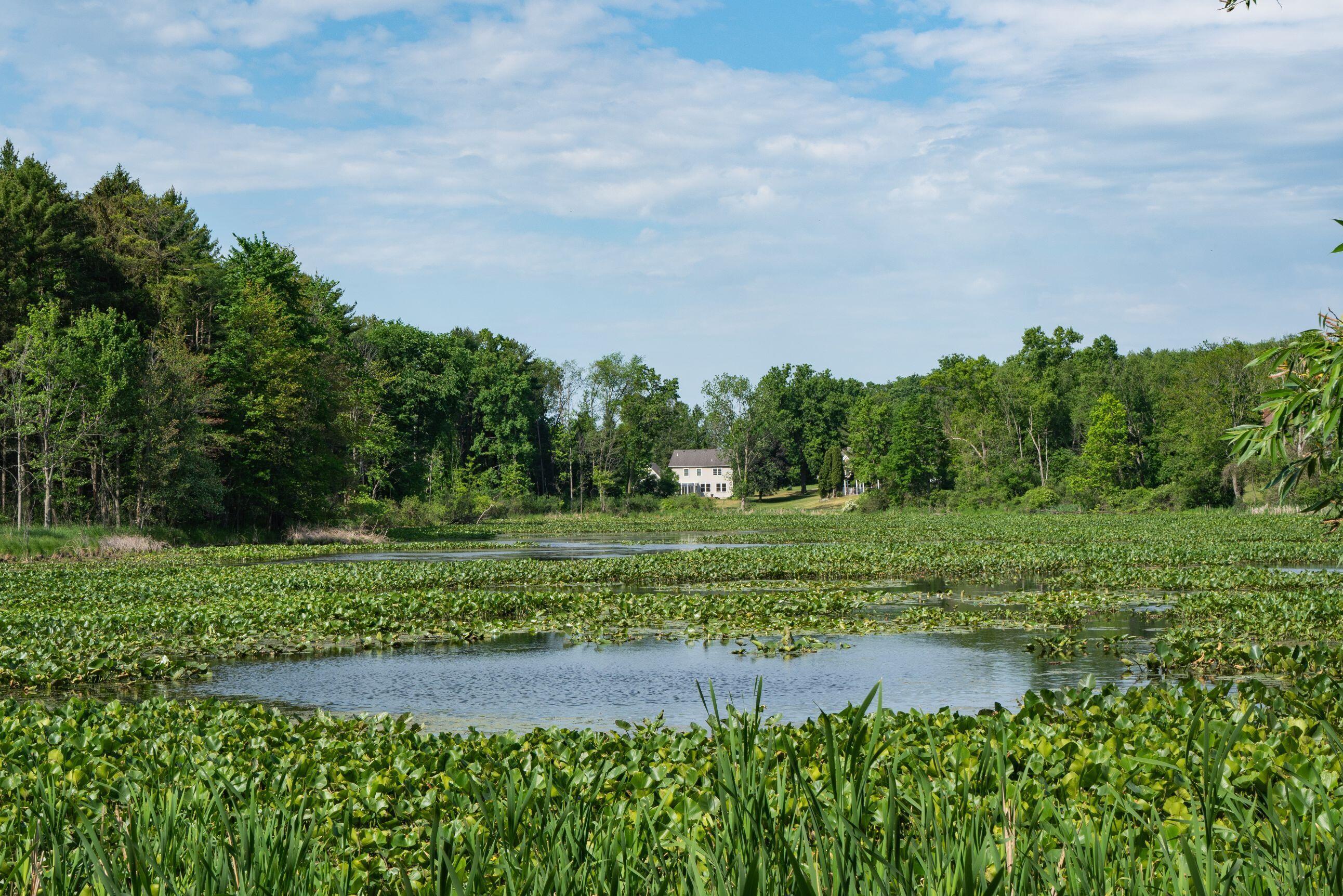 Image 1: Eagle's Nest_Blue skies_Water view 5