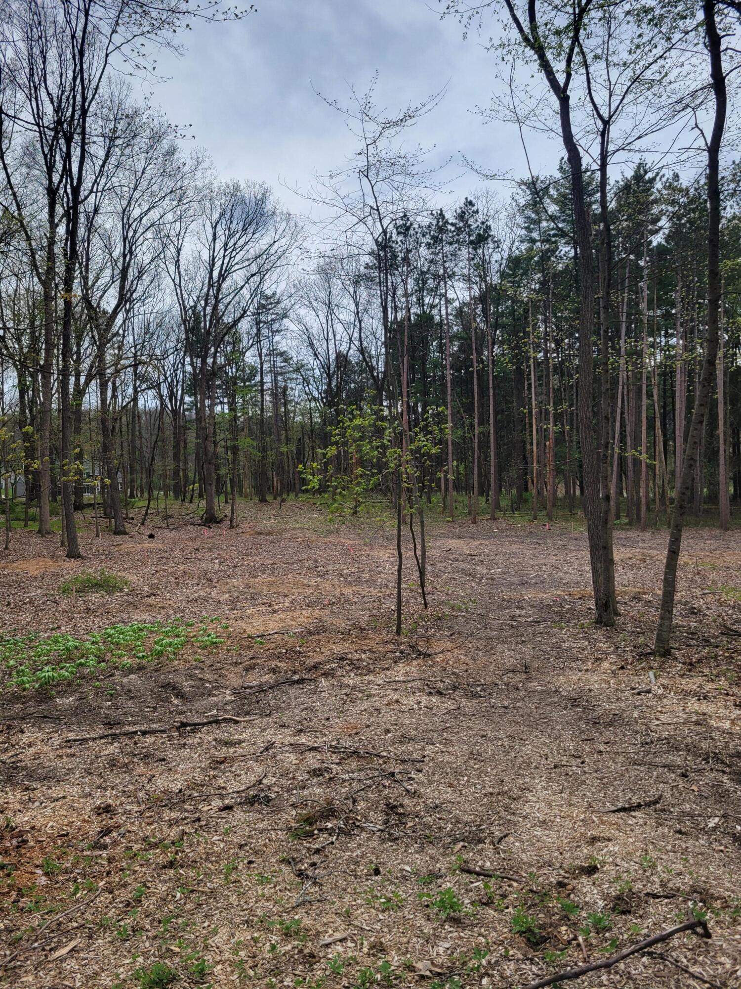 Image 4: site prepared for building