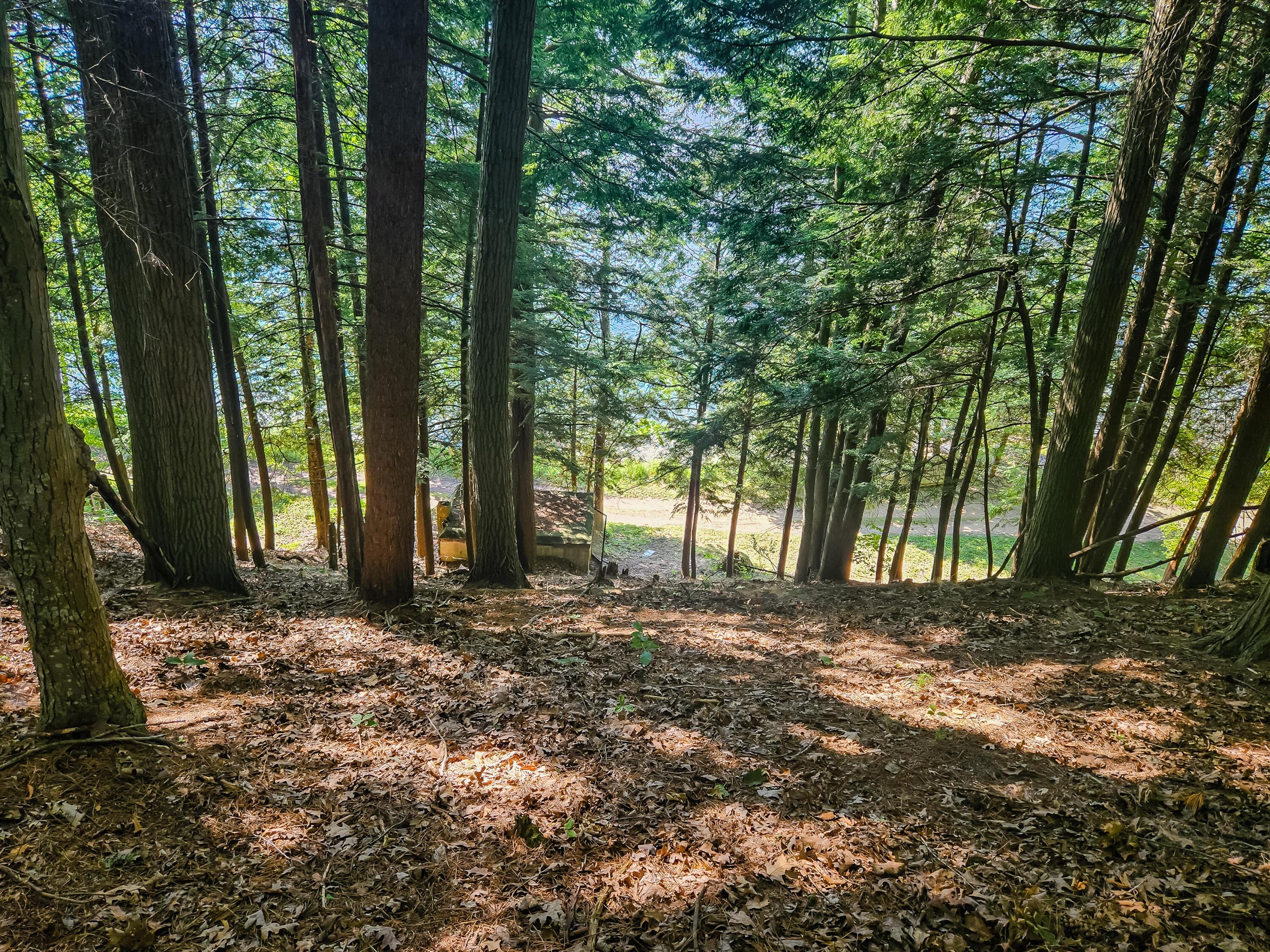 Image 3: From cabin to lake