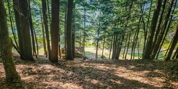 Image 3: From cabin to lake