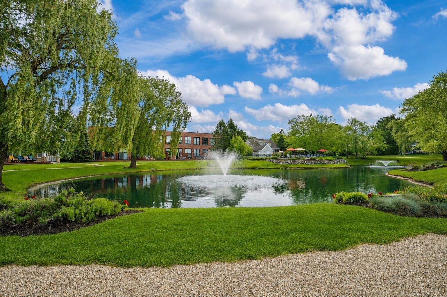 Image 3: Rear View Across Pond