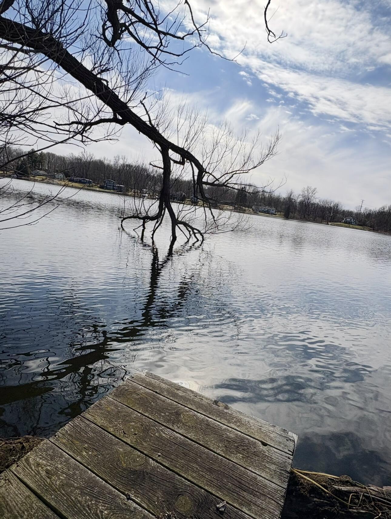 Image 2: 5C8F7EA2-72CB-4E45-94EE-CE934E166798