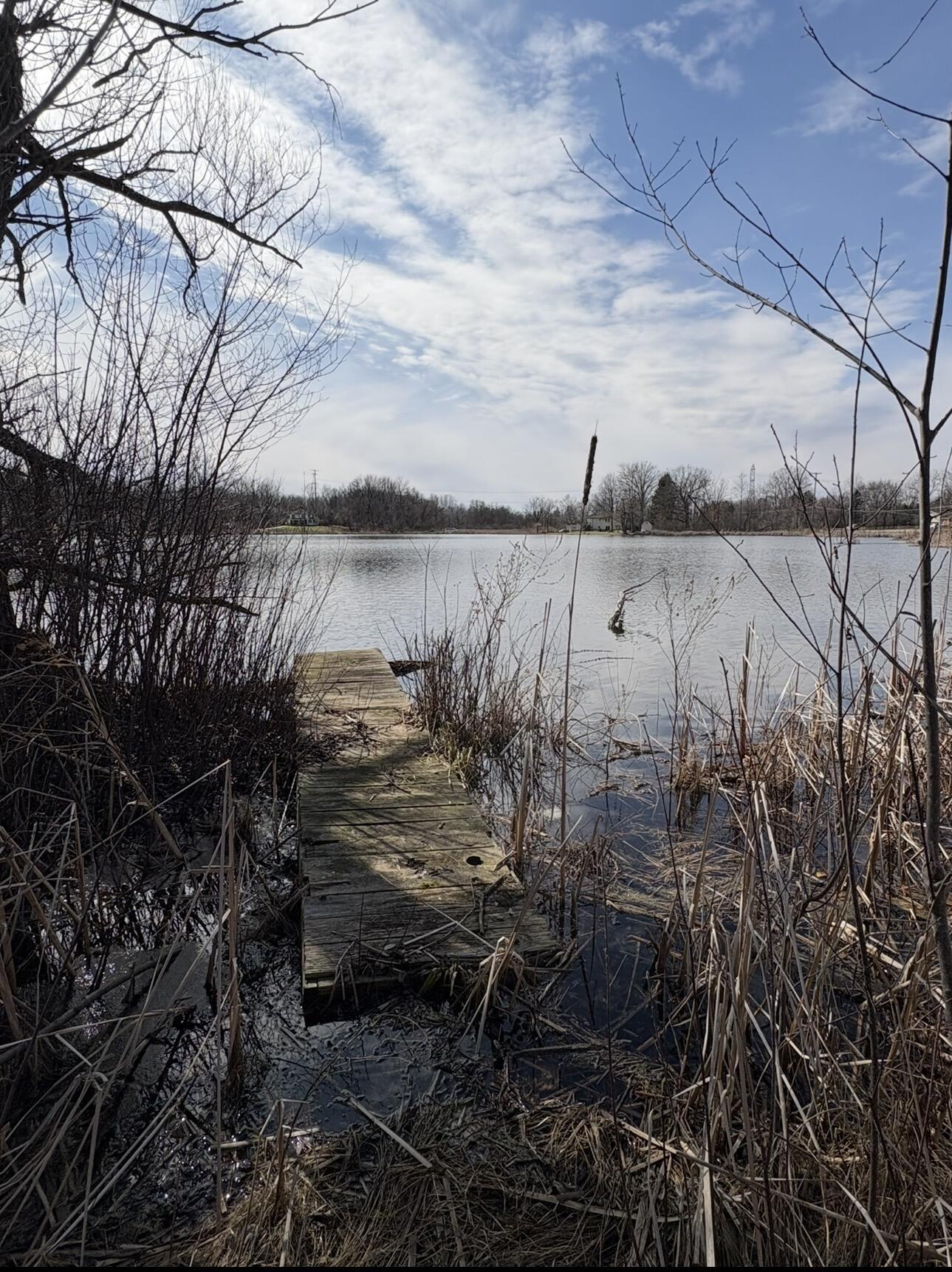 Image 4: 38DAFF03-812C-4654-A8CE-309BC79C93FD